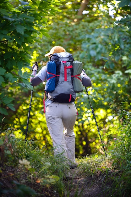 Podróżnik z plecakiem i kijami trekkingowymi. Kobieta turysta w lesie. Widok z tyłu. Sfotografowany w Rosji.