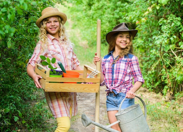 Podstawy ogrodnictwa Dzieci Dziewczęta z narzędziami do ogrodnictwa Ogrody wspaniałe miejsce pielęgnują znaczące i zabawne doświadczenie edukacyjne dla dzieci Proces cyklu życia nauczania ogrodnictwa Lato na wsi