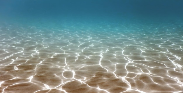 Podwodne piaszczyste dno, szerokie tło podwodnej panoramy