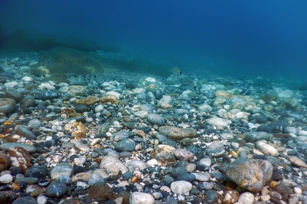 Podwodne skały i kamyki na dnie morskim
