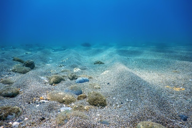 Podwodny błękitny ocean, piaszczyste dno morskie Podwodne tło