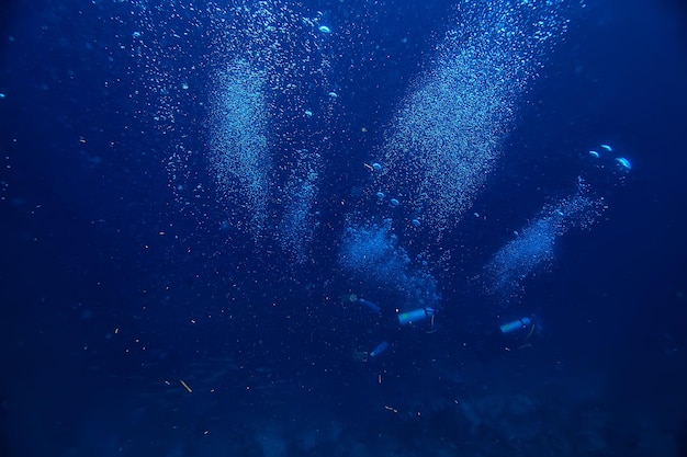 podwodny świat / błękitne morze bezdroża, światowy ocean, niesamowite podwodne