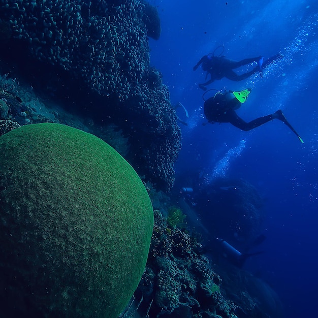 podwodny świat / błękitne morze bezdroża, światowy ocean, niesamowite podwodne