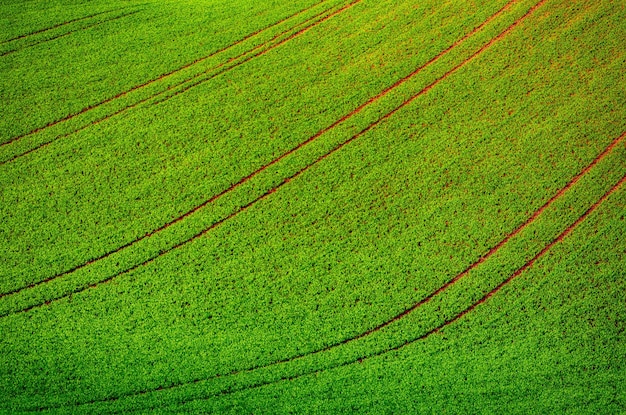 Pofałdowane wzgórza z polami odpowiednimi do tła lub tapet naturalny krajobraz sezonowy Morawy Południowe Czechy