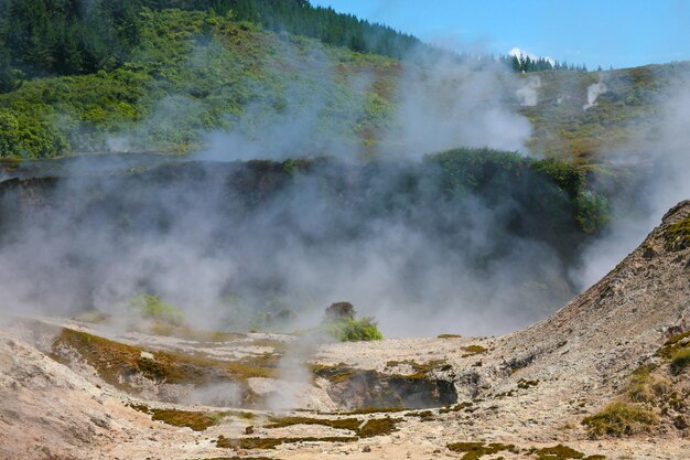 Pohutu Gejzer w Whakarewarewa Thermal Valley Rotorua na Wyspie Północnej Nowej Zelandii Pohutu