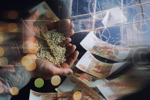 Pojęcie kosztu zboża Banknoty 5000 rubli wokół garści mielonego zboża Światowy głód