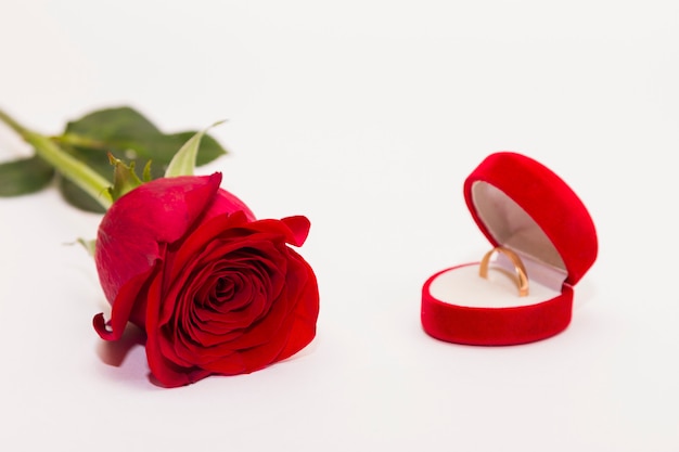 Zdjęcie pojedyncza czerwona kwiat róża kłaść na białym backgroung z kopii przestrzenią. koncepcja pozdrowienia.