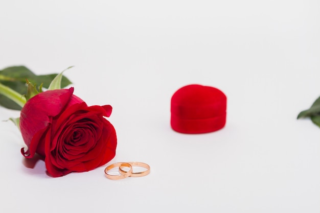 Zdjęcie pojedyncza czerwona kwiat róża kłaść na białym tle