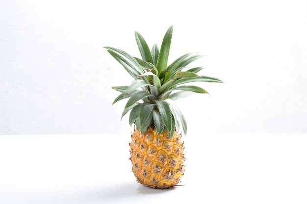 pojedynczy cały ananas na białym tle