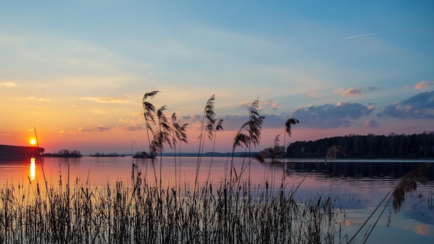 Pokojowy zachód s?o?ca na brzegu du?ego jeziora w ró?owych odcieniach Sun chmury lasu na horyzoncie mi?kkie kolory