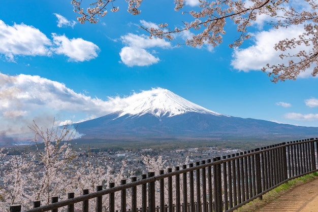 Pokryta śniegiem góra Fuji Mt Fuji z jasnym, ciemnoniebieskim tłem nieba w kwiatach wiśni sakura