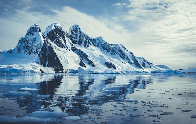 Pokryte lodem góry w oceanie polarnym