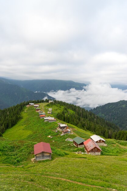 Pokut Plateau Rize Camlihemsin Turcja