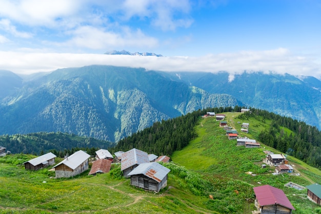 Pokut Plateau Rize Camlihemsin Turcja