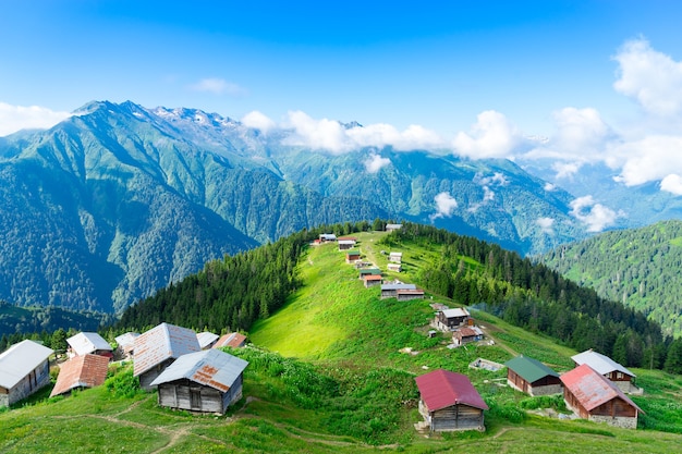 Pokut Plateau Rize Camlihemsin Turcja