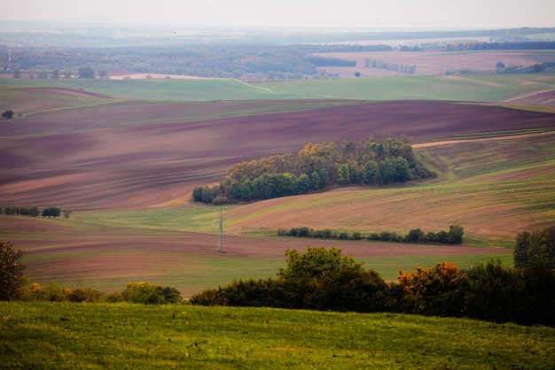 Pola na wzgórzach