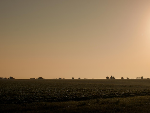 Pola uprawne o wschodzie słońca w stanie Iowa.