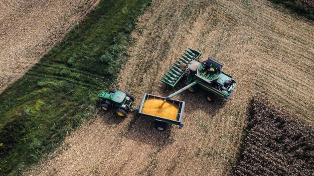 Połączenie zbiorów kukurydzy i załadowania do wagonu w Kentucky