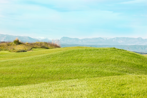 Pole Golfowe W Belek. Zielona Trawa Na Polu. Błękitne Niebo, Słoneczne