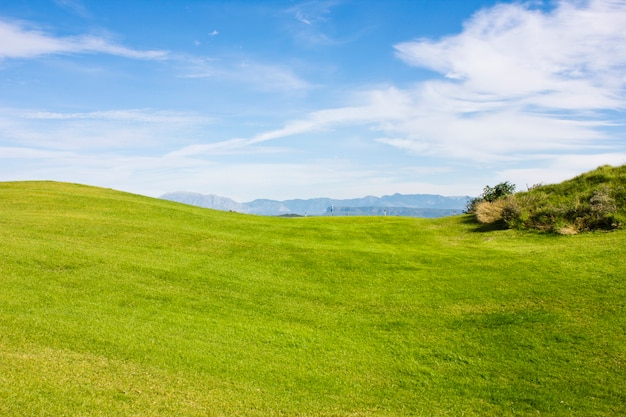 Pole golfowe w Belek. Zielona trawa na polu. Błękitne niebo, słoneczne