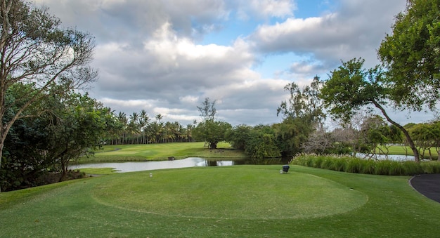 pole golfowe z palmami na Mauritiusie