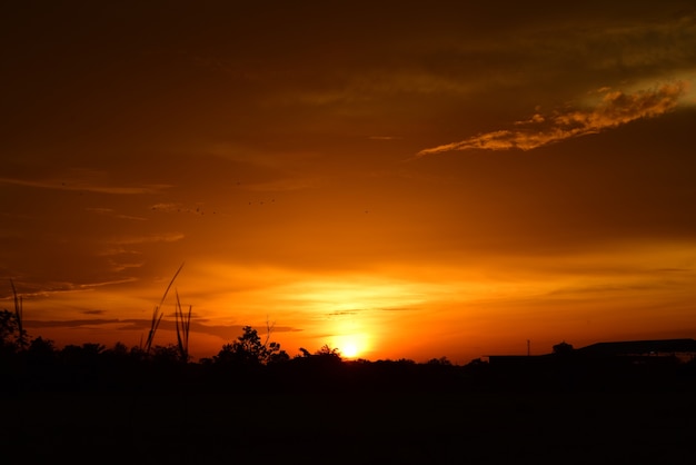 Pole i niebo z ciemnymi chmurami. Sunsetset w zieleni polu.