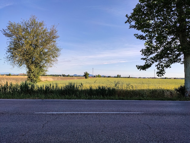 Pole i ulica rolnicza podczas zachodu słońca we Włoszech