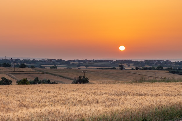 Pole jęczmienia o wschodzie słońca ze słońcem w kadrze na pomarańczowym niebie i wioską w tle