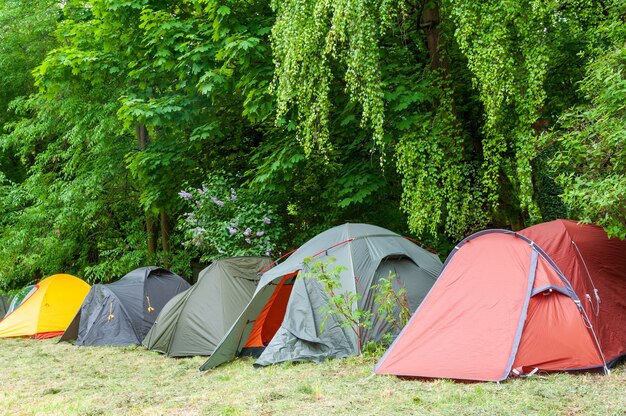Pole namiotowe i namiot pod lasem. Namiot kempingowy na kempingu w lesie