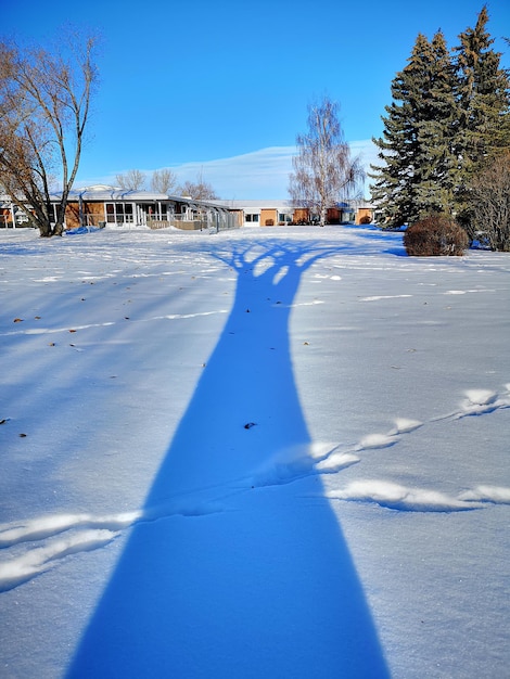 Zdjęcie pole pokryte śniegiem na tle niebieskiego nieba
