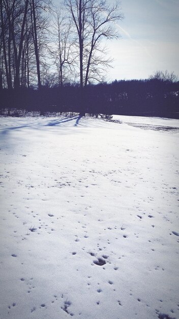 Zdjęcie pole pokryte śniegiem