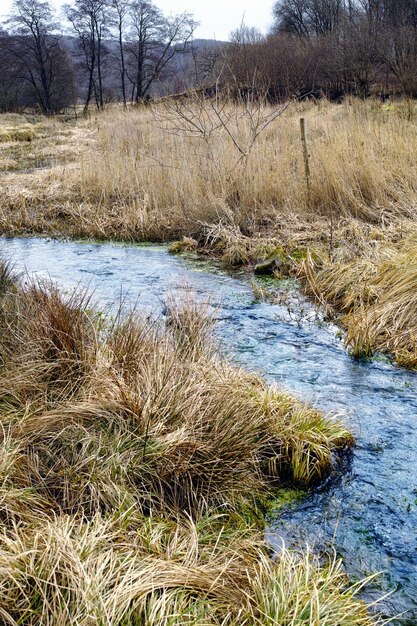 Zdjęcie pole przyrody i rzeka z drzewami dla środowiska ekosystem i ekologia na wsi naturalny tło krajobraz i strumień jezioro lub woda dla krajobrazu miejsce podróży i teren