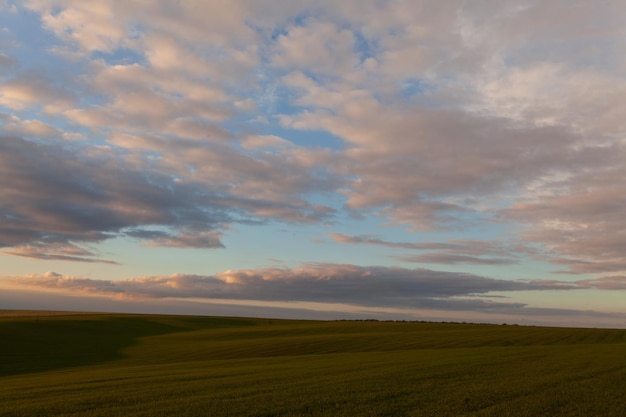 Pole pszenicy z chmurami błękitnego nieba Natura Krajobraz Wiejska sceneria na Ukrainie Bogate zbiory Koncepcja