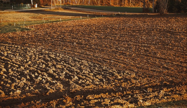 Pole rolnictwa pod koniec sezonu jesiennego Duże bryły gleby na polu