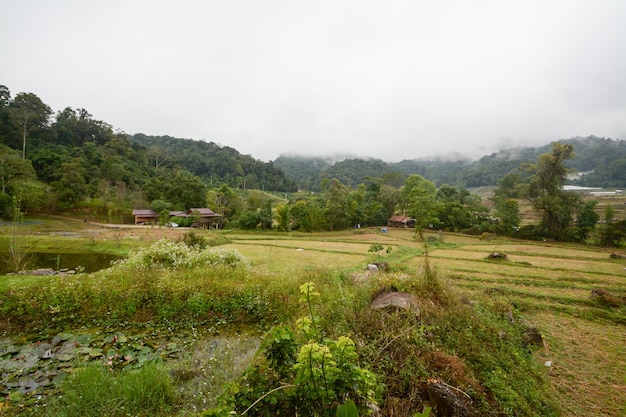 Pole tarasów ryżowych w Mae Klang Luang, Mae Chaem, Chiang Mai, Tajlandia