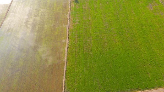 Pole tło widok z góry krajobraz natura