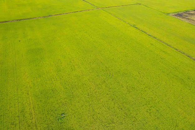 Pole tło widok z góry krajobraz natura