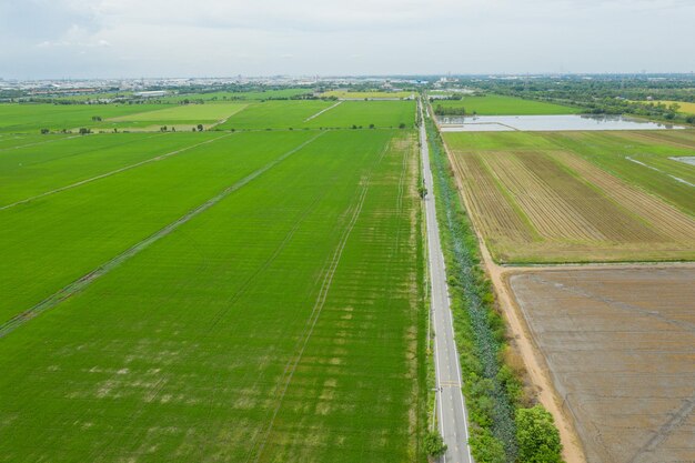 Pole tło widok z góry krajobraz natura