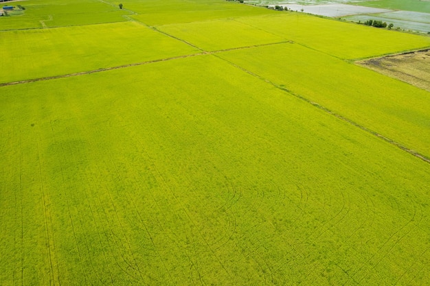 Pole tło widok z góry krajobraz natura