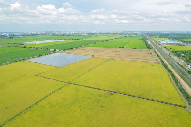 Pole tło widok z góry krajobraz natura