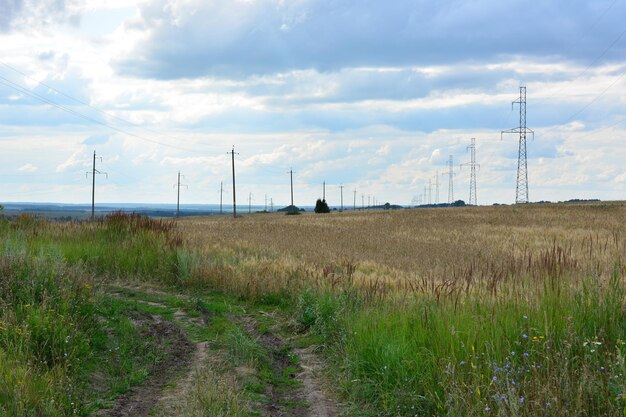 pole uprawne pszenicy z brudną drogą i kolumnami elektrycznymi i przewodami