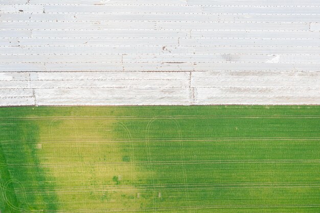 Zdjęcie pole wczesną wiosną pokryte polietylenem w celu izolacji termicznej zielone pole widok z góry