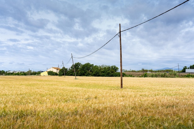 Zdjęcie pole z linią energetyczną i domem w tle