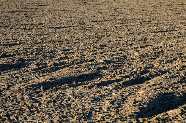 Pole zaorane zasiane zboża Zaorane pole w wiosenny dzień Czarna gleba zaorane pole Zaorane pole Tekstura ziemi Rustykalne tło