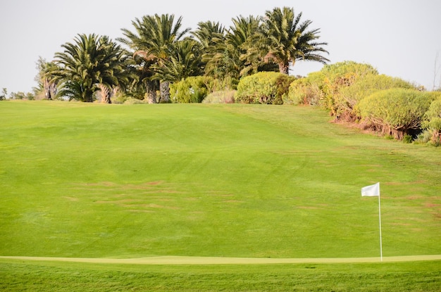 Pole zielonej trawy golfowej w tropikalnym klimacie