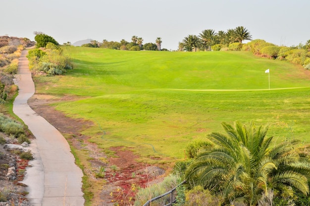 Pole zielonej trawy golfowej w tropikalnym klimacie