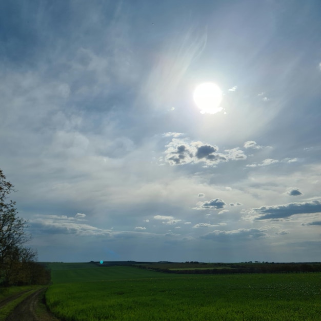 Polna droga jest pokazana ze słońcem na niebie.