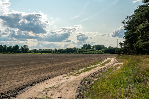 Polna droga w polu z pszenicą latem na tle chmur Rekreacja na świeżym powietrzu z dala od zgiełku miasta