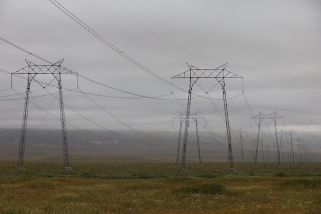 Polne kwiaty wokół słupów elektrycznych w Carrizo Plain National Monument i Soda Lake