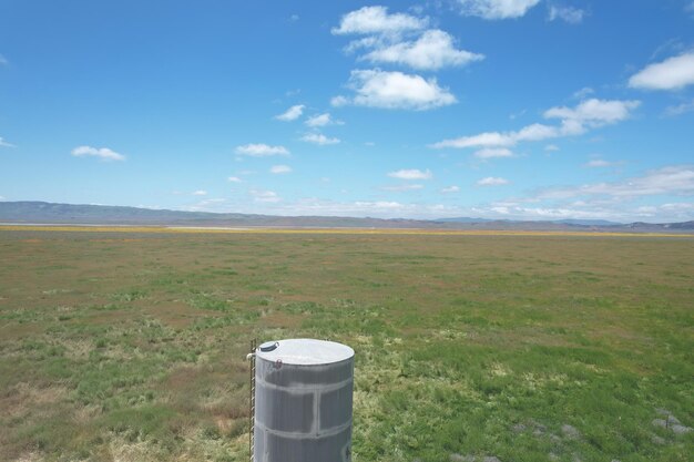 Polne kwiaty wokół zbiornika wodnego w Carrizo Plain National Monument i Soda Lake